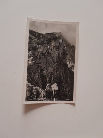 AK Rax. Wildfärte Ausstieg, Gamseck. (1936)