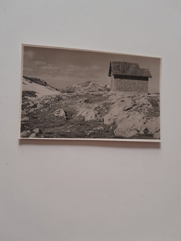 AK Rax, Raxgmoahütte und Schneeberg. (1928)