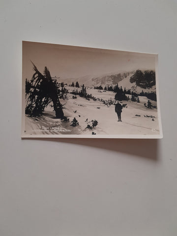 AK Rax. Wintermotiv am Raxplateau. (1927)