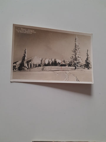 AK Rax. Motiv an der Bergstation der Raxseilbahn. (1927)