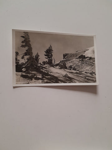 AK Otto - Schutzhaus im Winter.