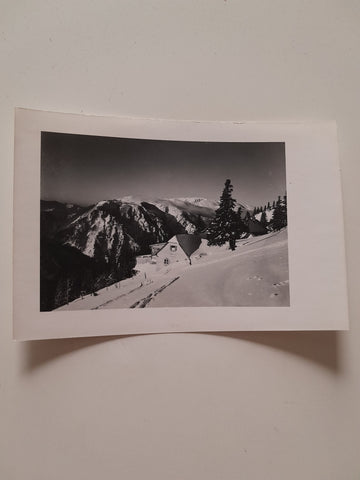 AK Baumgartnerhaus Schneeberg. Blick gegen Raxalpe.