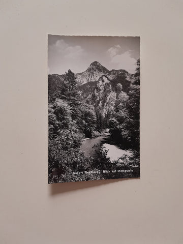 AK Reichenau an der Rax. Blick auf Mittagstein.