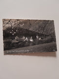 AK Raach am Hochgebirge. Bundesschullandheim. (1961)