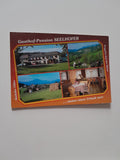 AK Prigglitz 18. Gasthof Pension Seelhofer.
