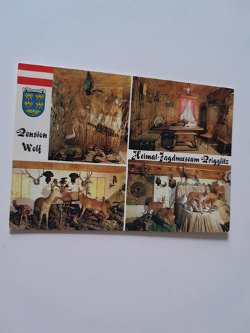 AK Prigglitz. Pension Wolf. Heimat-Jagdmuseum. Gasthof Pension Waldesruh. Rudolf u. Rosa Wolf.