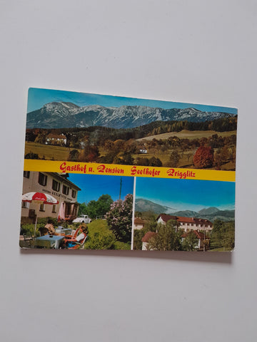 AK Prigglitz. Gasthof Pension Seelhofer. Auf der Wiese.