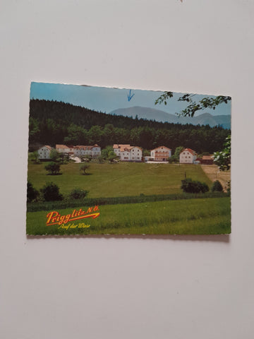 AK Prigglitz Auf der Wiese.