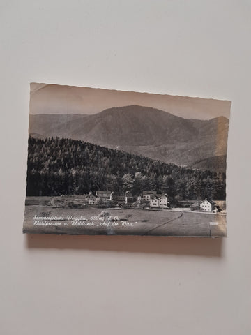AK Prigglitz. Waldpension u.Waldesruh. Auf der Wiese. (1967)