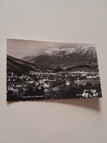 AK Payerbach mit Raxalpe.