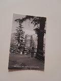 AK Kreuzberg. Blick zum Schneeberg. (1964)