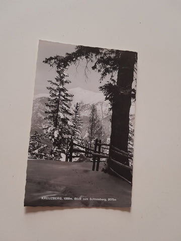 AK Kreuzberg. Blick zum Schneeberg. (1964)