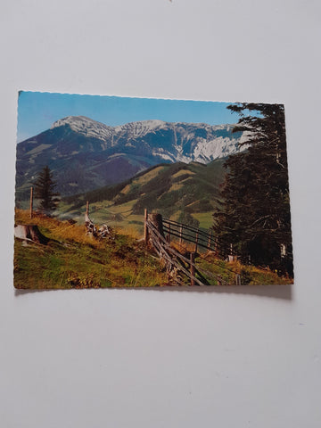 AK Blick vom Kreuzberg (Speckbacherhütte) auf die Rax.