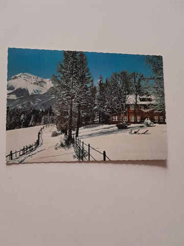 AK Speckbacher-Hütte am Kreuzberg gegen die Rax.
