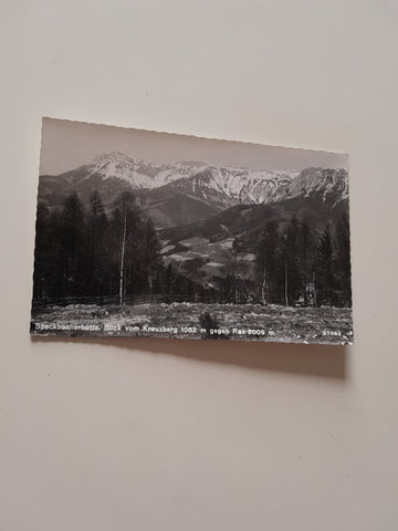 AK Speckbacherhütte. Blick vom Kreuzberg gegen Rax. (1967)