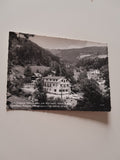 AK Mariensee am Wechsel. Gasthaus Pension Haidbauer.