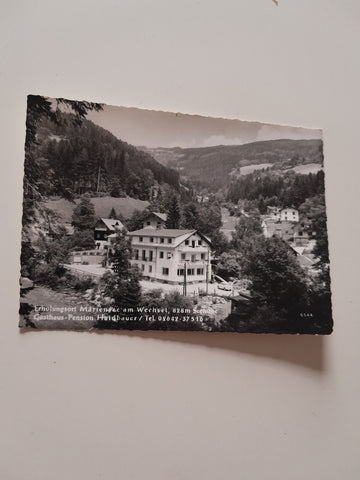AK Mariensee am Wechsel. Gasthaus Pension Haidbauer.