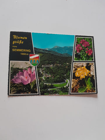 AK Blumengrüße vom Semmering.