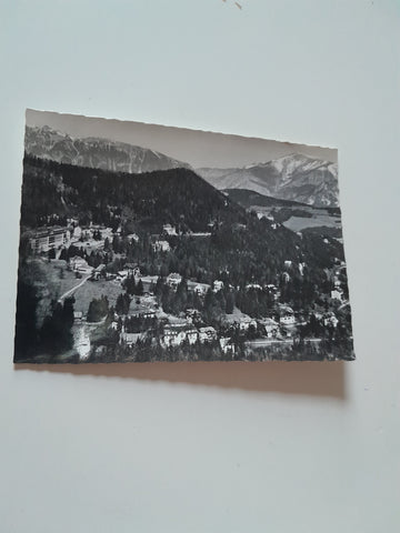 AK Semmering. Villenviertel gegen Schneeberg. (1959)