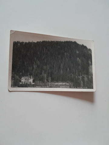 AK Semmering. Pension Alexander.