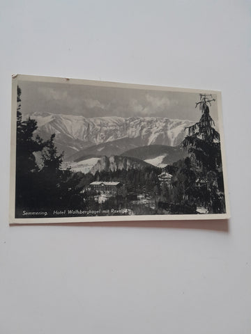 AK Semmering Hotel Wolfsbergkogel mit Raxalpe.