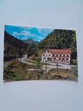 AK Naßwald. Gasthaus zur Singerin, Michael Auer. Schwarzau im Gebirge.