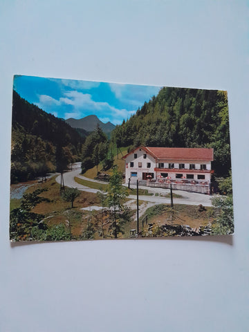 AK Naßwald. Gasthaus zur Singerin, Michael Auer. Schwarzau im Gebirge.