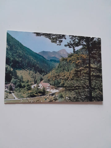 AK Naßwald. Gasthaus zur Singerin, Michael Auer. Schwarzau im Gebirge.