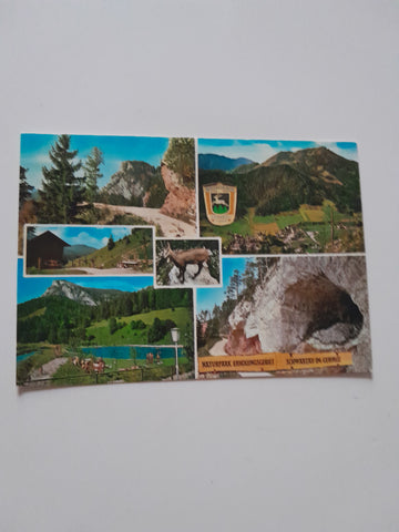 AK Naturpark Schwarzau im Gebirge.