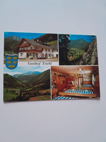 AK Schwarzau im Gebirge. Gasthof Pension Johann Triebl. Preintal 16.