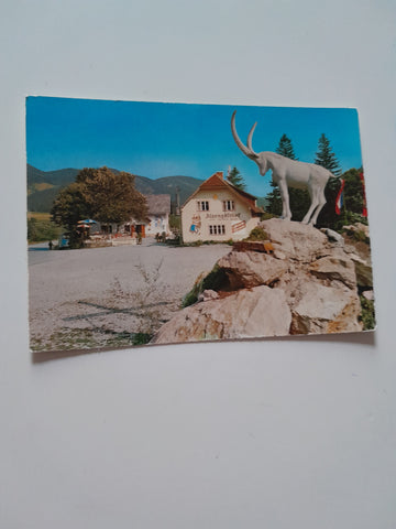 AK Schwarzau im Gebirge. Alpengasthaus Zum grünen Baum. Inh. Lois und Rosi Rossböck.