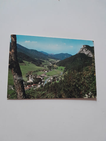AK Schwarzau im Gebirge mit Falkenstein.