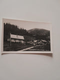 AK Sonnwendstein Schüller Alpenhaus.