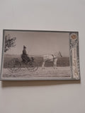 Hartkartonfoto: Kutsche (Verlag: J. Alex Fink, Neunkirchen)
