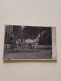 Hartkartonfoto: Kutsche (Verlag: Kalman Rupprecht Nachfolger A. Kutschera's, Neunkirchen)