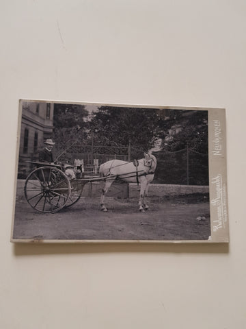 Hartkartonfoto: Kutsche (Verlag: Kalman Rupprecht Nachfolger A. Kutschera's, Neunkirchen)