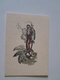 AK Christrose. Franz Blittersdorff.