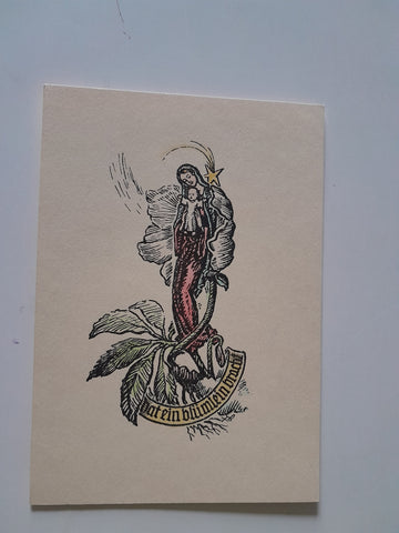 AK Christrose. Franz Blittersdorff.