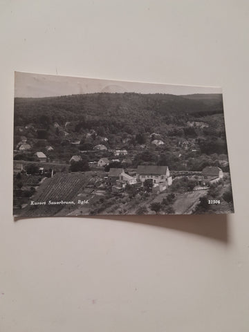 AK Bad Sauerbrunn.