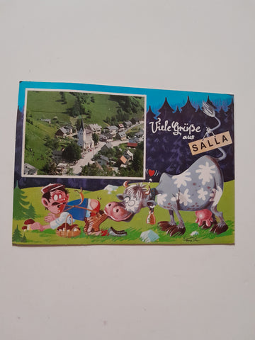 AK Viele Grüße aus Salla.