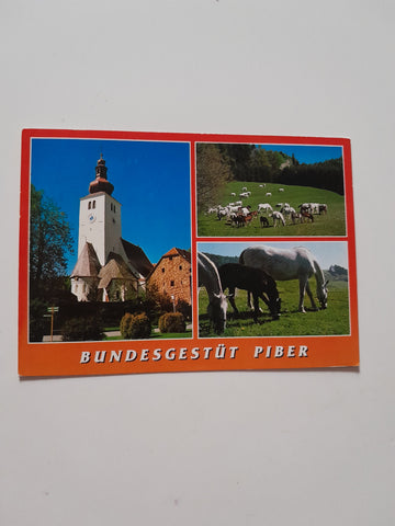 AK Bundesgestüt Piber.