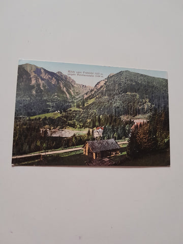 AK Blick vom Prebichl gegen Reichenstein. (1909)
