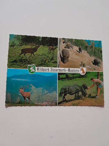 AK Wildpark Steiermark Mautern.