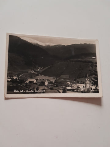 AK Wald am Schoberpass.