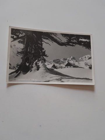AK Scheiblalm.