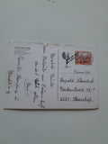 AK Bischoffeld/Gaal. Urlaub am Lande Familie Schindlbacher Gaalgraben 16.