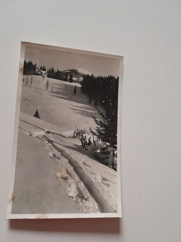 AK Hochlantsch Teichalpe. Gasthof Pierer. (1935)