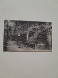 AK Gleichenberg. Partie aus der Schlucht. (1921)