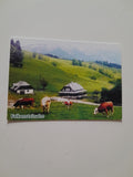 AK Falkensteinalm. Neuberg, Falkenstein 1.