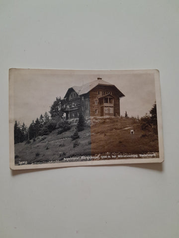 AK Alpenhotel Bärenkogel bei Mürzzuschlag.